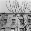 Opening Receptions, September 15, 2023, 09/15/2023, More than One: Ken Ohara's Photographic Journey 1972-2012