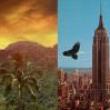Discussions, September 26, 2023, 09/26/2023, U.S. Imperialism in Puerto Rico and Beyond