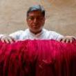 Discussions, October 10, 2023, 10/10/2023, Color in Indigenous Textiles