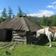 Lectures, October 27, 2023, 10/27/2023, &ldquo;Those Who Feed&rdquo;: Interspecies Futurities in Indigenous Siberia