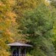 Park Walks, October 25, 2023, 10/25/2023, Lake Views of Central Park (online)