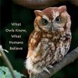 Book Discussions, October 17, 2023, 10/17/2023, Alfie and Me: What Owls Know, What Humans Believe