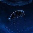 Films, October 28, 2023, 10/28/2023, Nope (2022) Directed by Jordan Peele