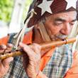 Lectures, October 20, 2023, 10/20/2023, Fiestas Patronales: Music in Latin America's Sacred and Secular Celebrations (online)