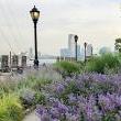 Park Walks, October 28, 2023, 10/28/2023, History and Horticulture Walk