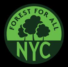 Hikes, October 14, 2023, 10/14/2023, City of Forest Day: Nature Exploration