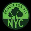 Hikes, October 14, 2023, 10/14/2023, City of Forest Day: Nature Exploration