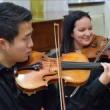 Concerts, October 22, 2023, 10/22/2023, Works by Beethoven, Haydn, Dvorak, and More for Violin, Viola, and Cello