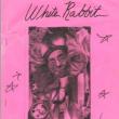 Readings, November 04, 2023, 11/04/2023, White Rabbit Magazine Reading