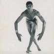 Discussions, November 29, 2023, 11/29/2023, The Impact of Dancer&nbsp;Geoffrey Holder (In Person AND Online)