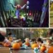 Festivals, October 21, 2023, 10/21/2023, Hallowscream Fright Walk and Fall Festival