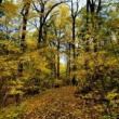Park Walks, October 22, 2023, 10/22/2023, Autumn Nature Walk
