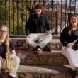Concerts, November 08, 2023, 11/08/2023, Jazz Trio