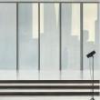 Opening Receptions, November 16, 2023, 11/16/2023, Tim Eitel: something there somewhere outside