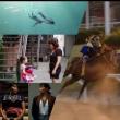 Screenings, November 21, 2023, 11/21/2023, Native Cinema Showcase 2023 (online thru Nov 24)
