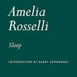 Book Discussions, November 01, 2023, 11/01/2023, Sleep: The English Poetry of Amelia Rosselli (1930-1996)