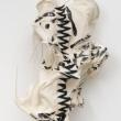 Opening Receptions, November 03, 2023, 11/03/2023, Lynda Benglis: Skeletonizer