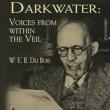 Lectures, December 01, 2023, 12/01/2023, W.E.B. Du Bois's Darkwater Aesthetics: Beauty in the Perspective of the Veiled Corner