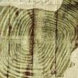 Gallery Talks, November 18, 2023, 11/18/2023, Artist Talk: Atlas