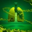 Slide Lectures, December 13, 2023, 12/13/2023, Organogenesis: Building Blocks of Life (online)