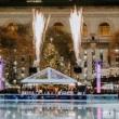 Festivals, November 28, 2023, 11/28/2023, Tree Lighting in the Park