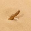 Opening Receptions, November 29, 2023, 11/29/2023, Diamond Stingily: Sand