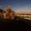 Festivals, December 02, 2023, 12/02/2023, Tree Lighting on the Hudson