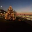 Festivals, December 02, 2023, 12/02/2023, Tree Lighting on the Hudson