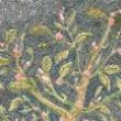 Gallery Talks, December 16, 2023, 12/16/2023, Artist Talk: Embroidered Allegories