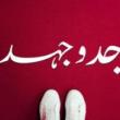 Plays, December 13, 2023, 12/13/2023, Jado Jehad: Family Secrets in Tight Quarters