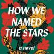 Book Discussions, January 31, 2024, 01/31/2024, How We Named the Stars: A Love Story for the Written Off