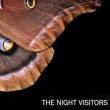 Films, February 05, 2024, 02/05/2024, The Night Visitors (2023): A Documentary About Moths
