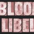 Talks, February 01, 2024, 02/01/2024, Antisemitism and the Blood Libel (online)