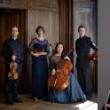 Concerts, April 08, 2024, 04/08/2024, Works by Haydn, Brahms, and More for Violin, Viola, and Cello