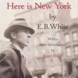 Book Clubs, February 26, 2024, 02/26/2024, Here is New York by E. B. White