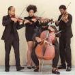 Concerts, February 25, 2024, 02/25/2024, Black History Month Concert for Violin, Viola, Cello, and Drums
