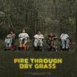 Films, March 01, 2024, 03/01/2024, Fire Through Dry Grass (2023): Disabled Poets During Covid