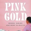 Book Discussions, April 23, 2024, 04/23/2024, Pink Gold: Shrimp, Women and Work in Mexico