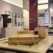 Gallery Talks, April 03, 2024, 04/03/2024, Tall Timber: The Future of Cities in Wood: Exhibition Tour