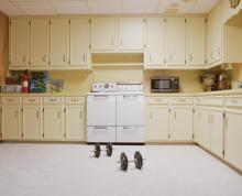 Opening Receptions, April 25, 2024, 04/25/2024, Tiptoeing Through the Kitchen, Recent Photography