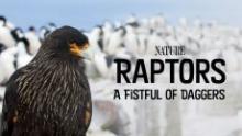Movie in a Parks, April 25, 2024, 04/25/2024, Raptors: A Fistful of Daggers: PBS Documentary