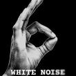 Films, May 20, 2024, 05/20/2024, White Noise (2020): Documentary on the Threat of White Supremacy Groups (online)
