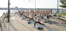 Workshops, May 28, 2024, 05/28/2024, Flow Yoga in the Park