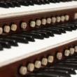 Concerts, May 18, 2024, 05/18/2024, Works by Liszt and More for Organ and Piano