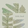 Book Discussions, May 15, 2024, 05/15/2024, Little Seed: An Experimental Memoir