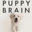 Book Discussions, May 17, 2024, 05/17/2024, Puppy Brain: How Our Dogs Learn, Think, and Love
