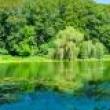 Hikes, March 22, 2025, 03/22/2025, Discovery Hike: Vernal Pools