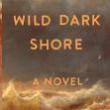 Book Discussions, March 04, 2025, 03/04/2025, Wild Dark Shore: Mysterious Woman Washes Ashore