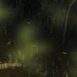 Discussions, March 21, 2025, 03/21/2025, Swamp Summit: Dirt and Water