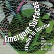 Opening Receptions, March 13, 2025, 03/13/2025, Emergent Surfaces: Studies in Tension